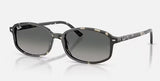 RAYBAN- Sam Sunglasses