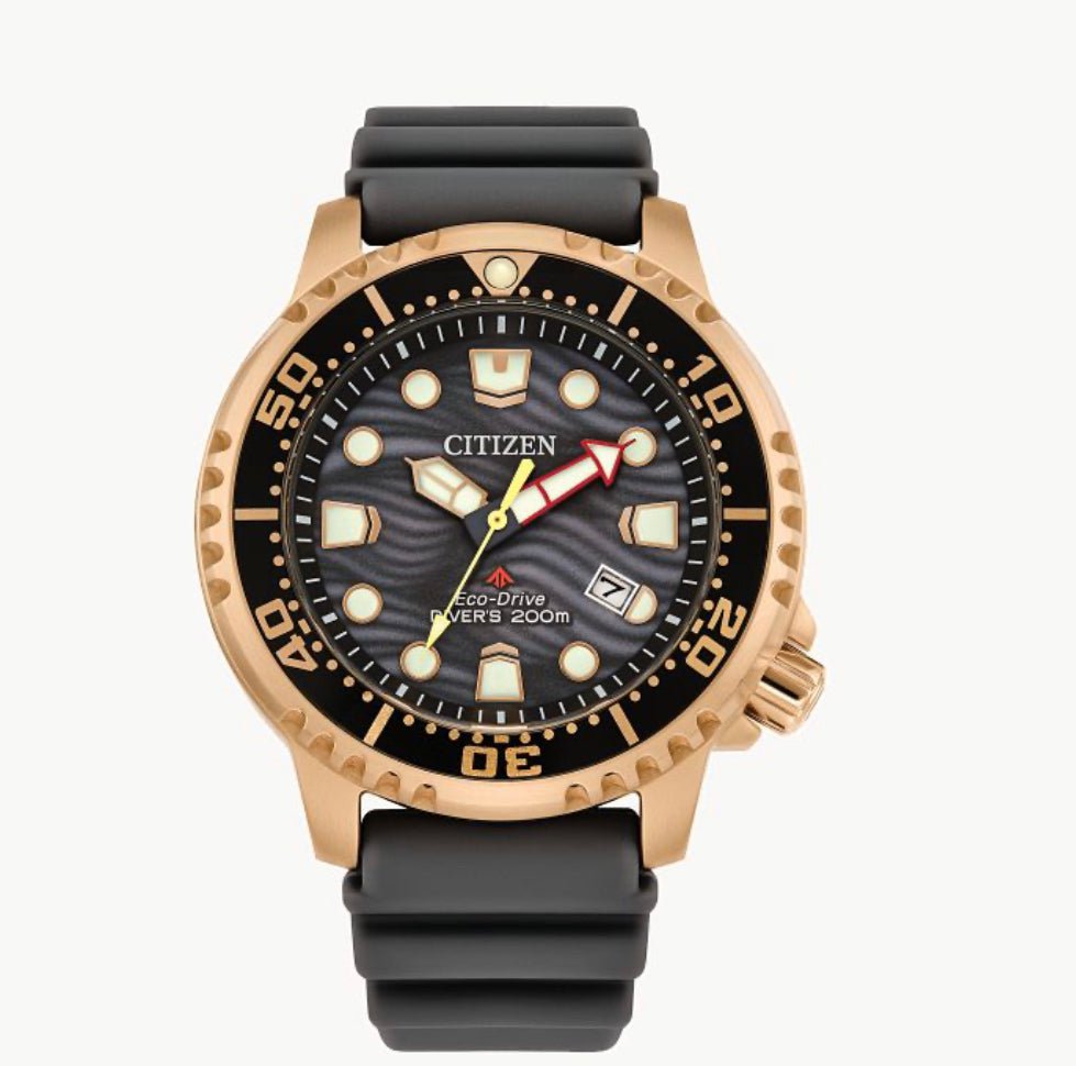 CITIZEN Promaster Dive Eco Drive 200M BN0163-00H
