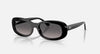 RAYBAN- RB2221 Sunglasses