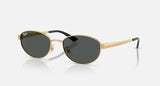 RAYBAN- RB3774D Sunglasses