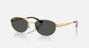 RAYBAN- RB3774D Sunglasses