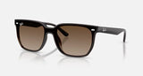 RAYBAN- RB4466D Sunglasses