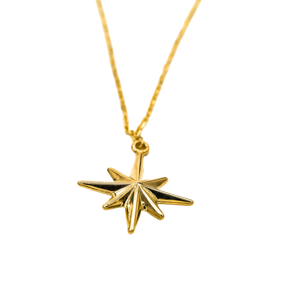 LUKA GOLD- 14kt North Star Necklace