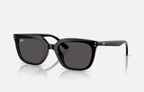 RAYBAN- RB4439D Black