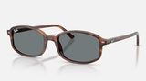 RAYBAN- Sam Sunglasses