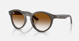 RAYBAN- 2180 Reverse Sunglasses