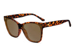 KNOCKAROUND- Palomas Sunglasses in Glossy Tortoise Shell/Amber