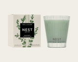 NEST- Wild Mint & Eucalyptus Classic Candle 8.1oz