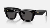 RAYBAN- Wayfarer Puffer Sunglasses