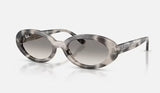 RAYBAN- RB2223 Sunglasses