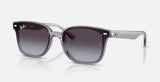 RAYBAN- RB4461D Sunglasses