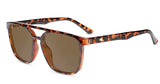 KNOCKAROUND- Brightsides Glossy Tortoise Shell/Amber