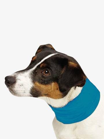 Insect Shield Pet Cooling Gaiter in Poppy